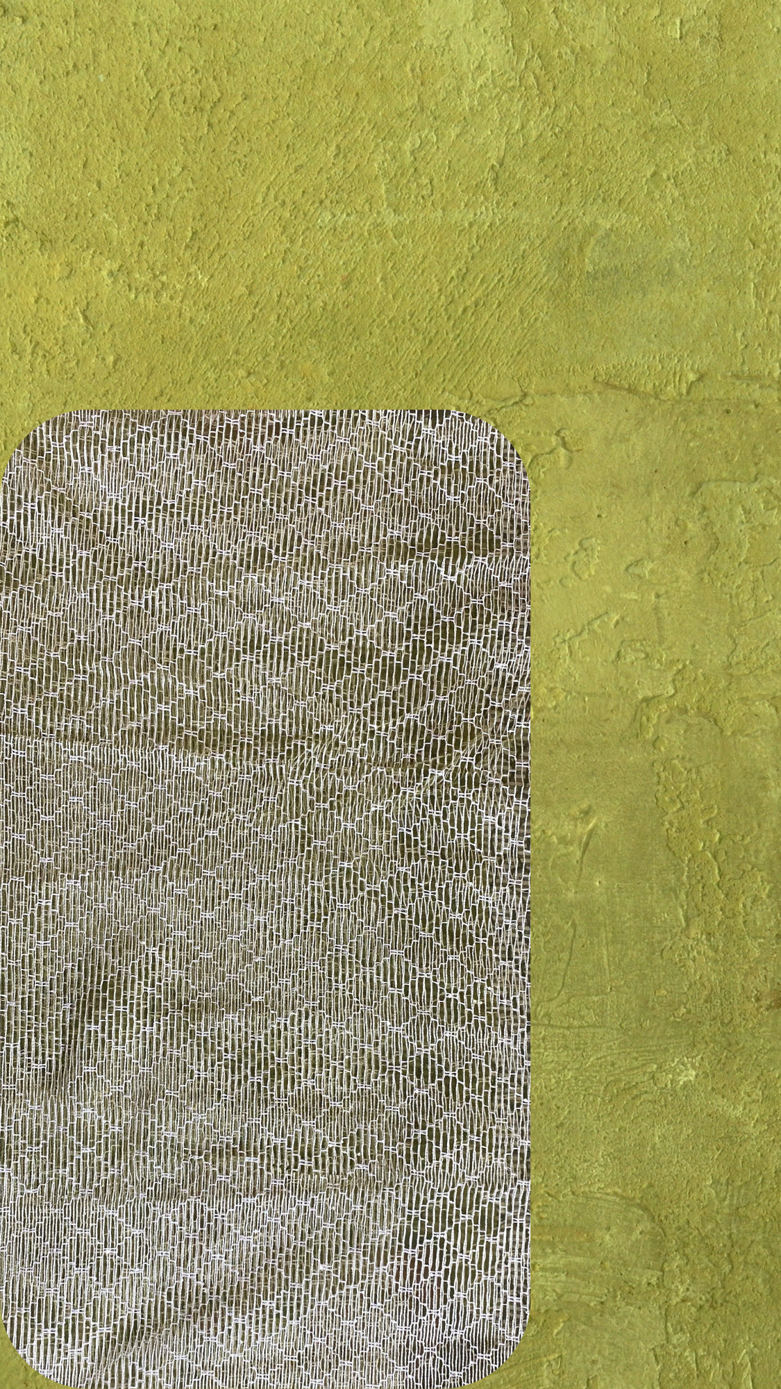 πΏπ Olive Garden β Olive Green Denim Jacket with Green Net Embroidery