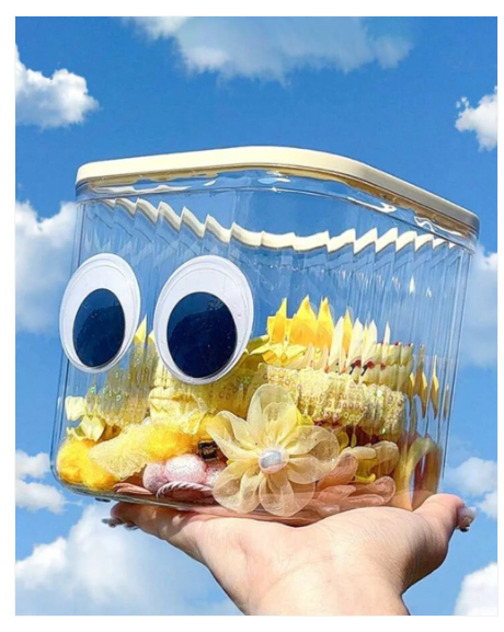 Cute Transparent Storage Container With Lid