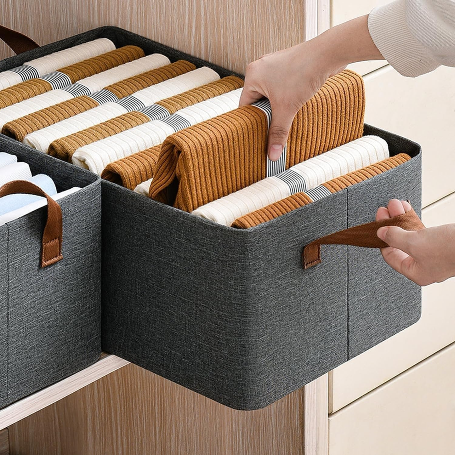 Shelf Organizer with Metal Frame (Pack of 1)