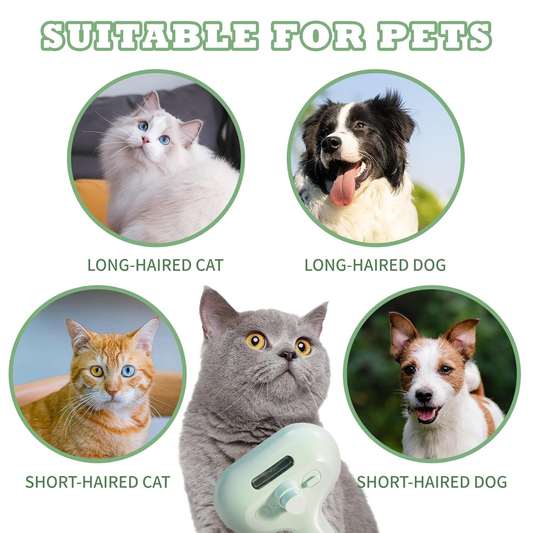 2 in 1 Spray Cat Brush for Shedding(GREEN)