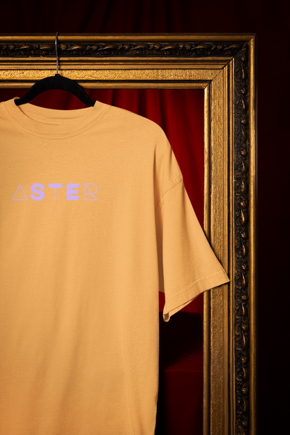 Terry Oversized “MAXIMALISM” Back Print T-Shirt by ASTER STORE
